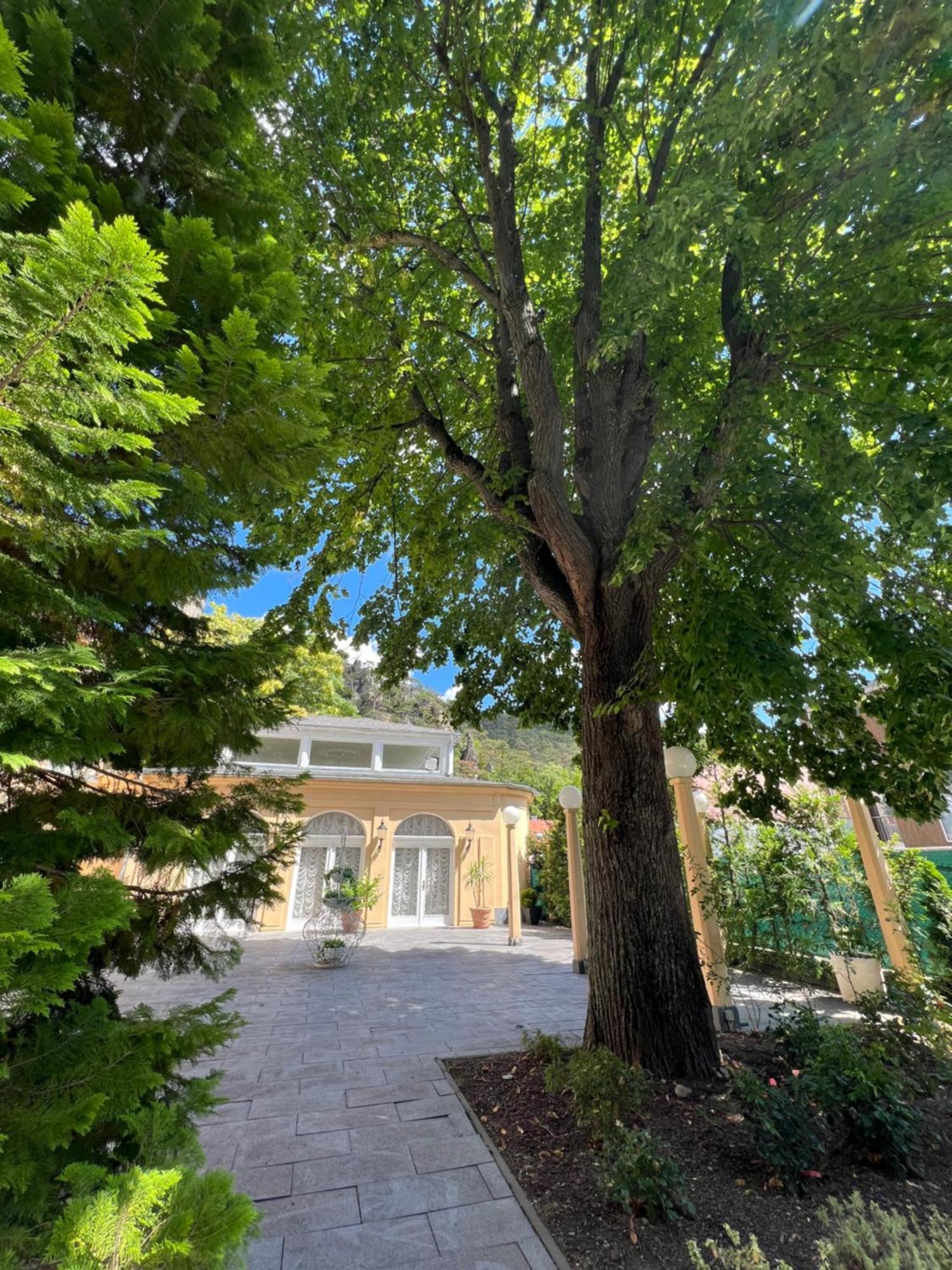 Wienerwald Residenz Baden bei Wien Esterno foto